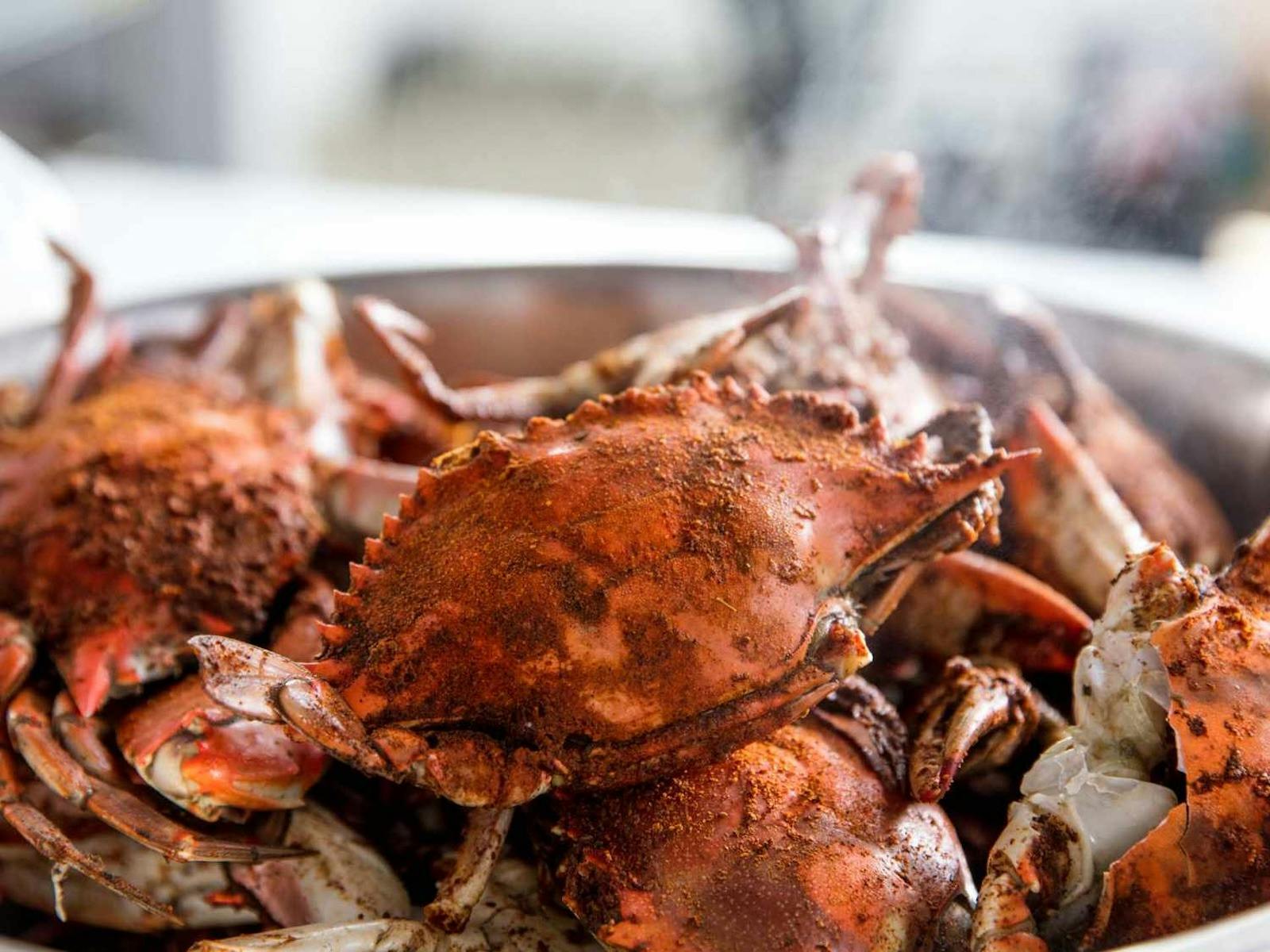 Porty B Hotel's Cajun Crab Boil | Tasting Australia