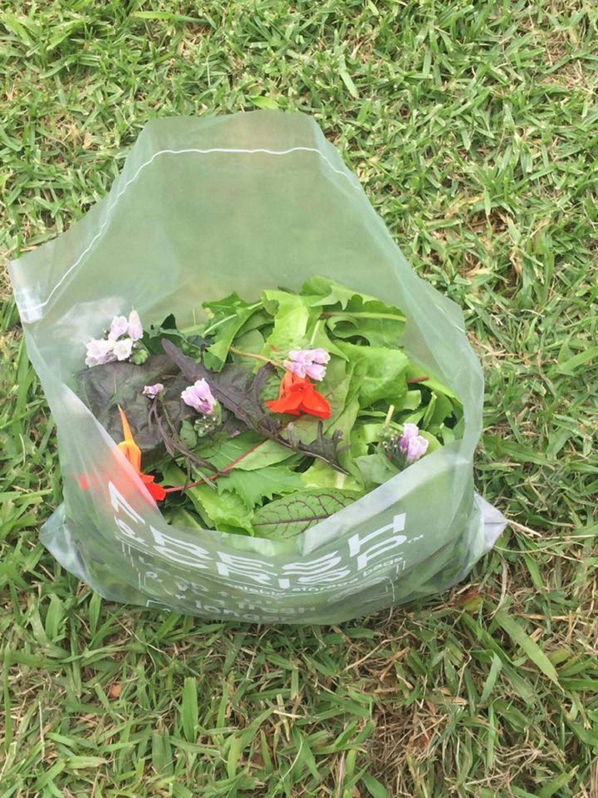 Fresh produce grown onsite