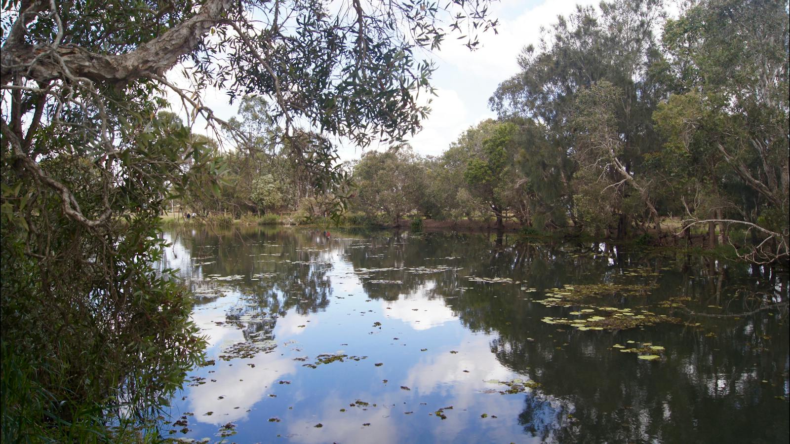 Baldwin Swamp
