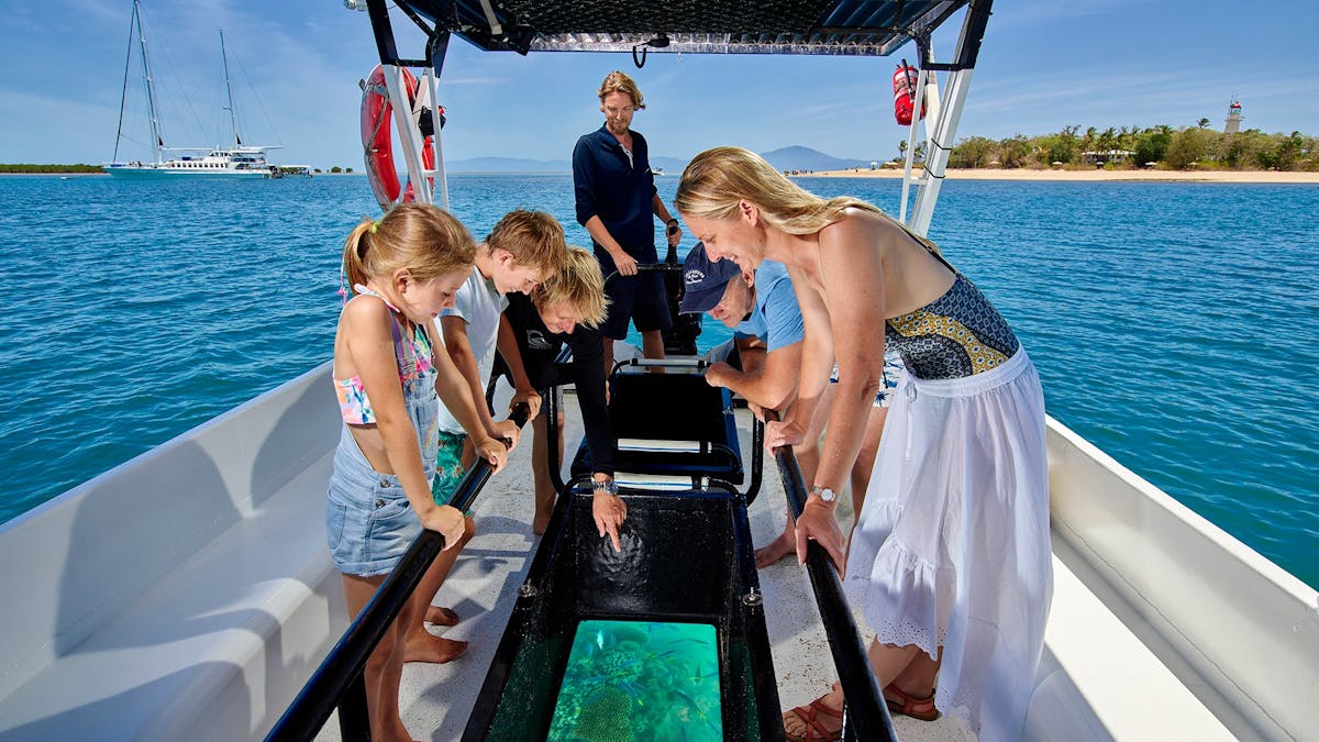 view the reef from a glass bottom boat