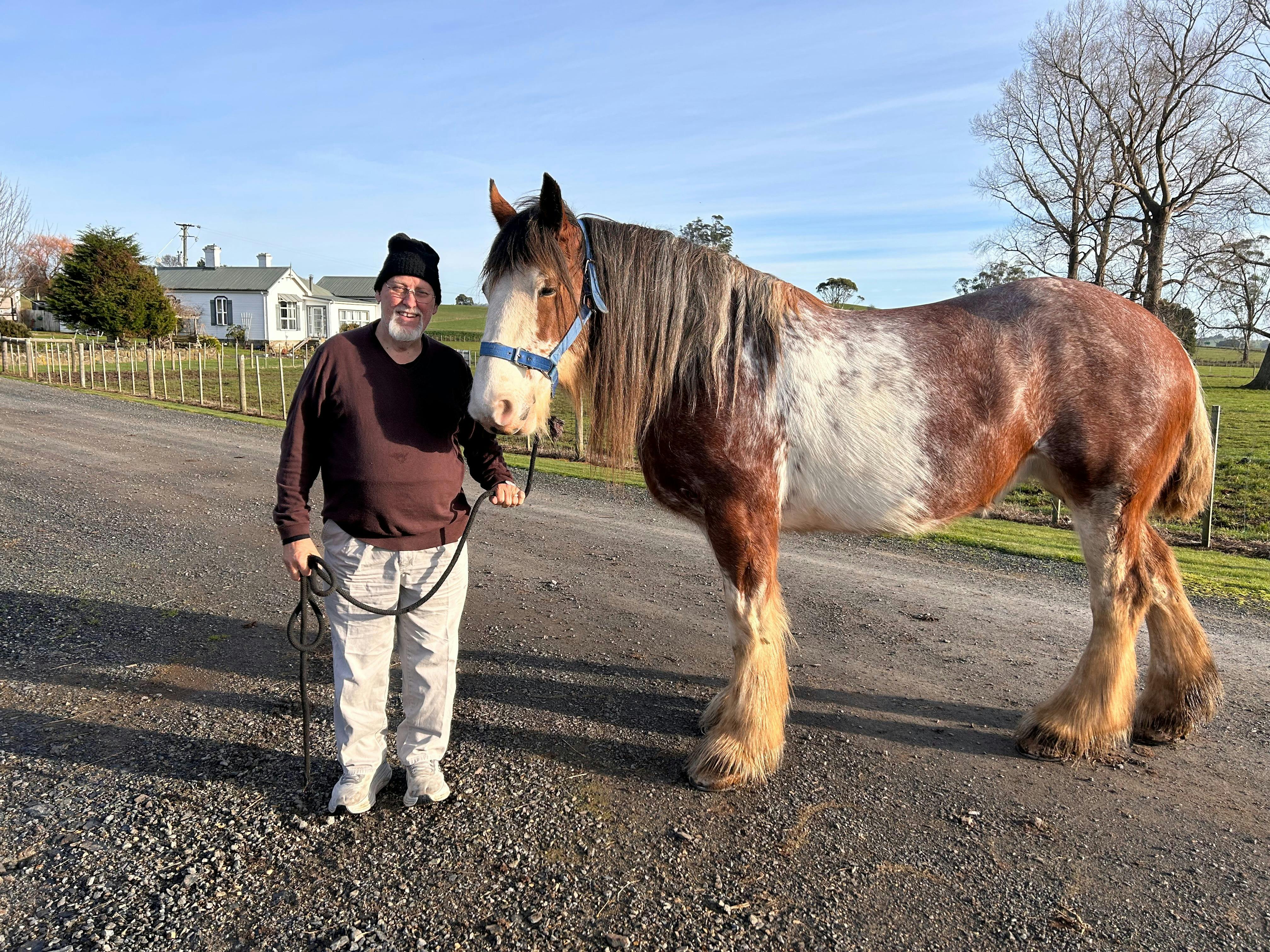 Almost Heaven Clydesdales Inspirational Farmyard Friends