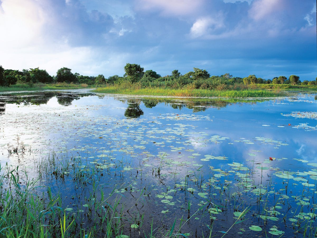 TYTO Wetlands TYTO Wetlands