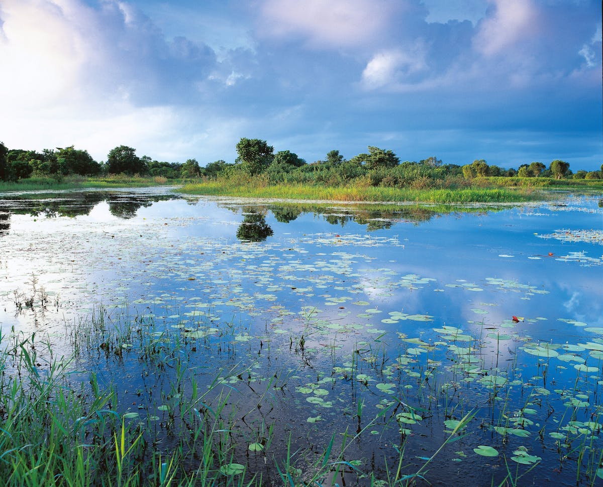 TYTO Wetlands