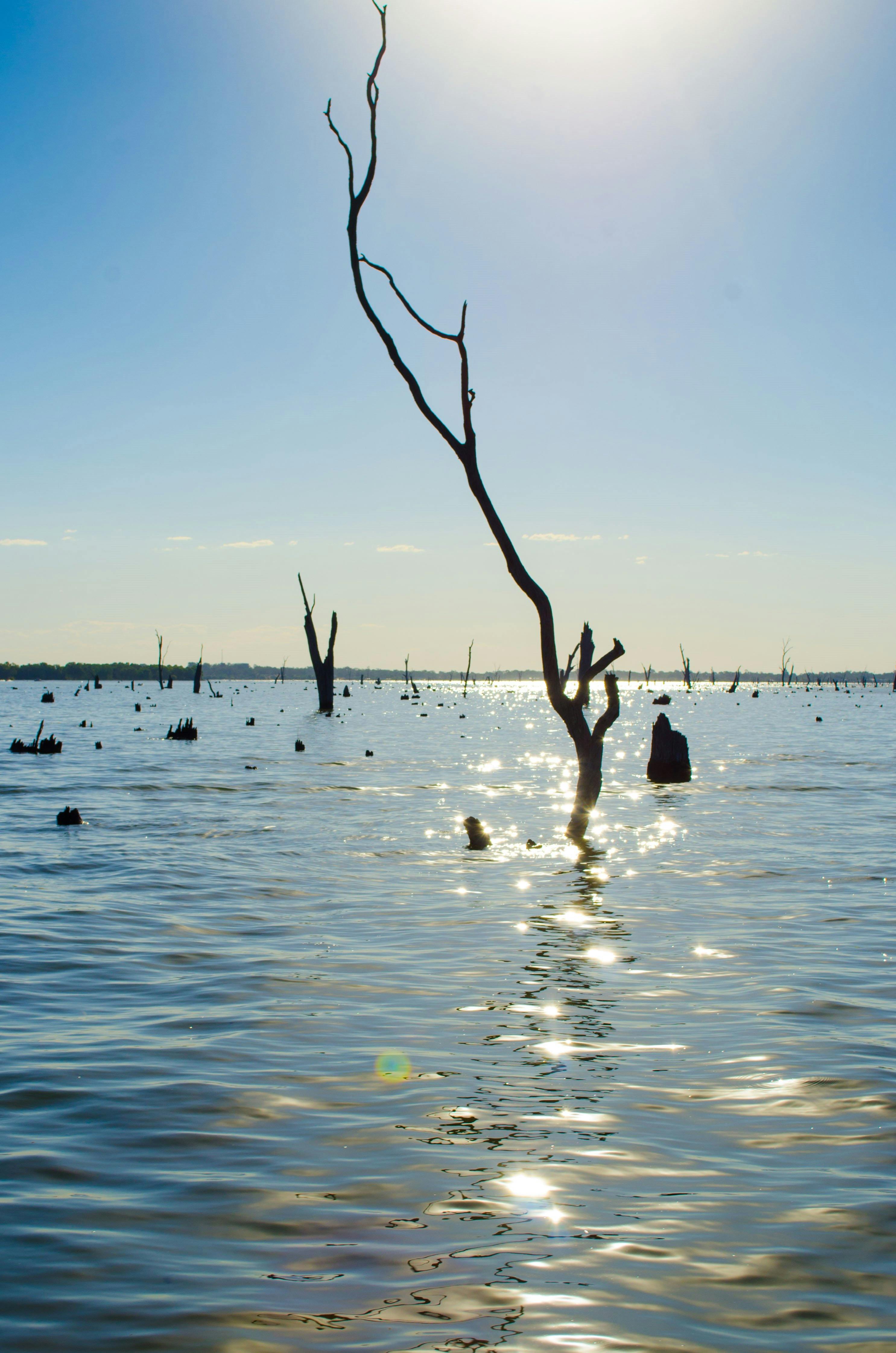 Sparkling Water Anyone?