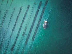 Coffin Bay Oyster Farm Tours Experience