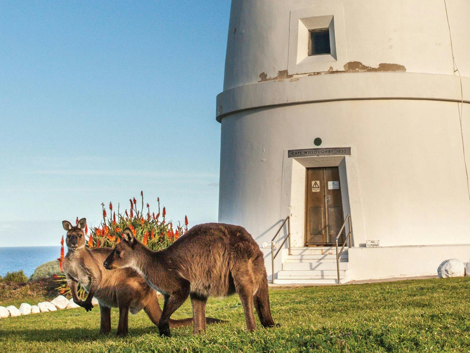 Kangaroo Island