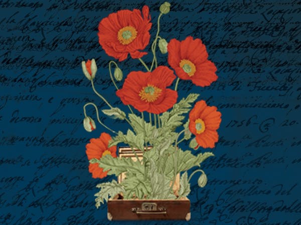 The Dictionary of Lost Words