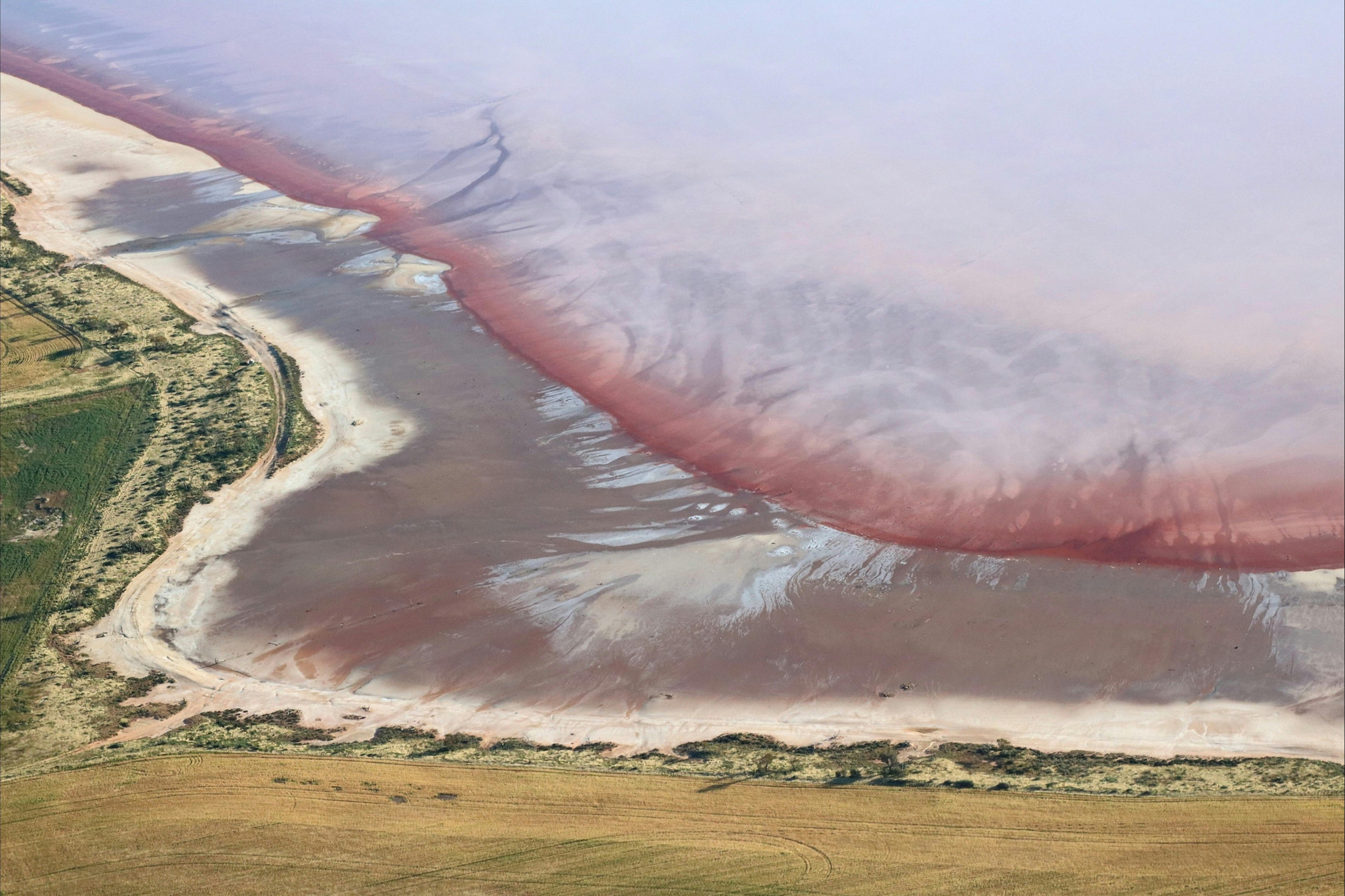 Aerial view of pink and violet water with salt at the edge of the lake.