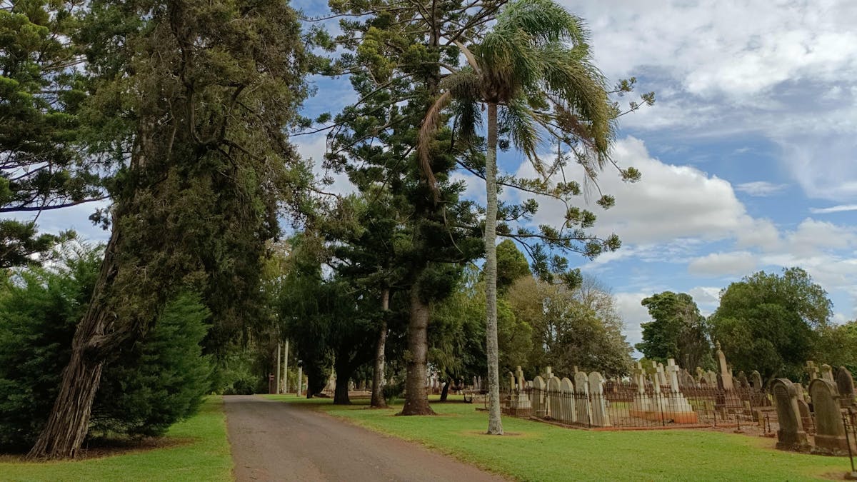 Tall trees line a cemetery avenue, with historic headstones beside them.