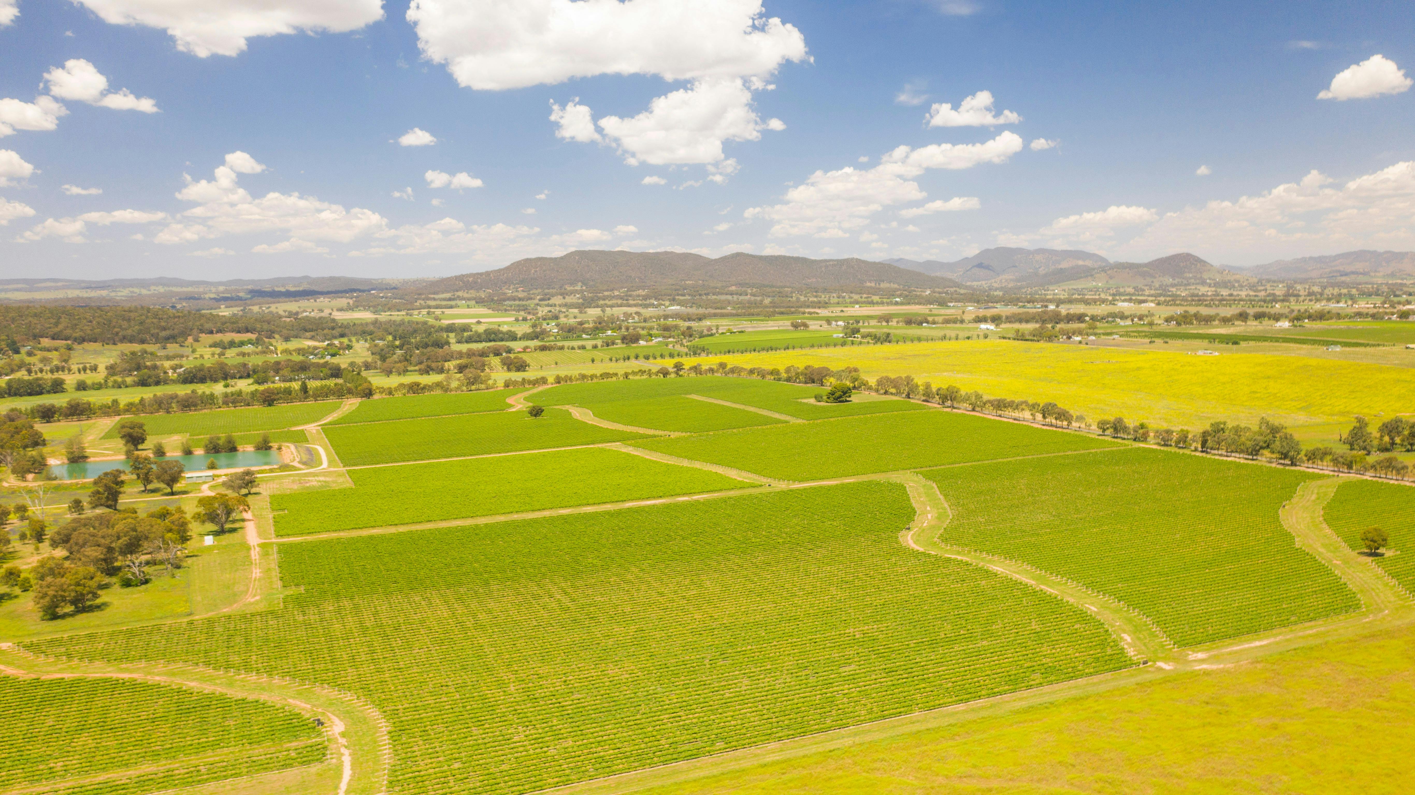 Auf einem Hügel mit herrlichem Blick nach Nordosten über das Mudgee Valley finden Sie Lowe Wines.