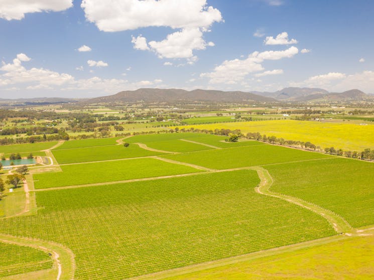 On a hill with beautiful views looking north east over the Mudgee Valley, you’ll find Lowe Wines.