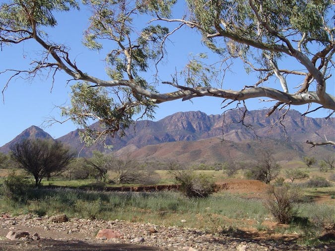 Flinders Ranges and Arkaroola Five Day Tour