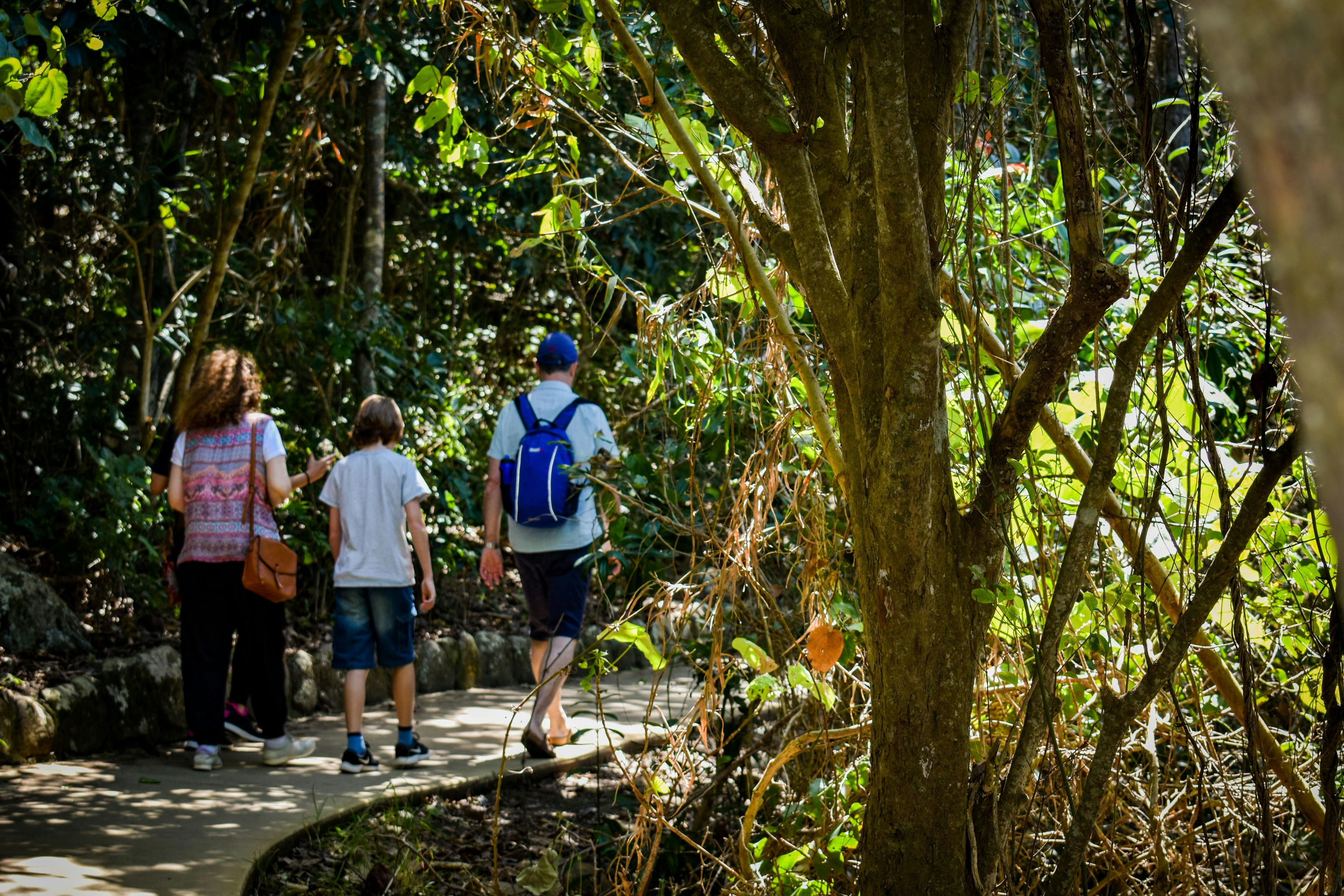 Walking along the Oceanview Track during the Jellurgal Walkabout tour