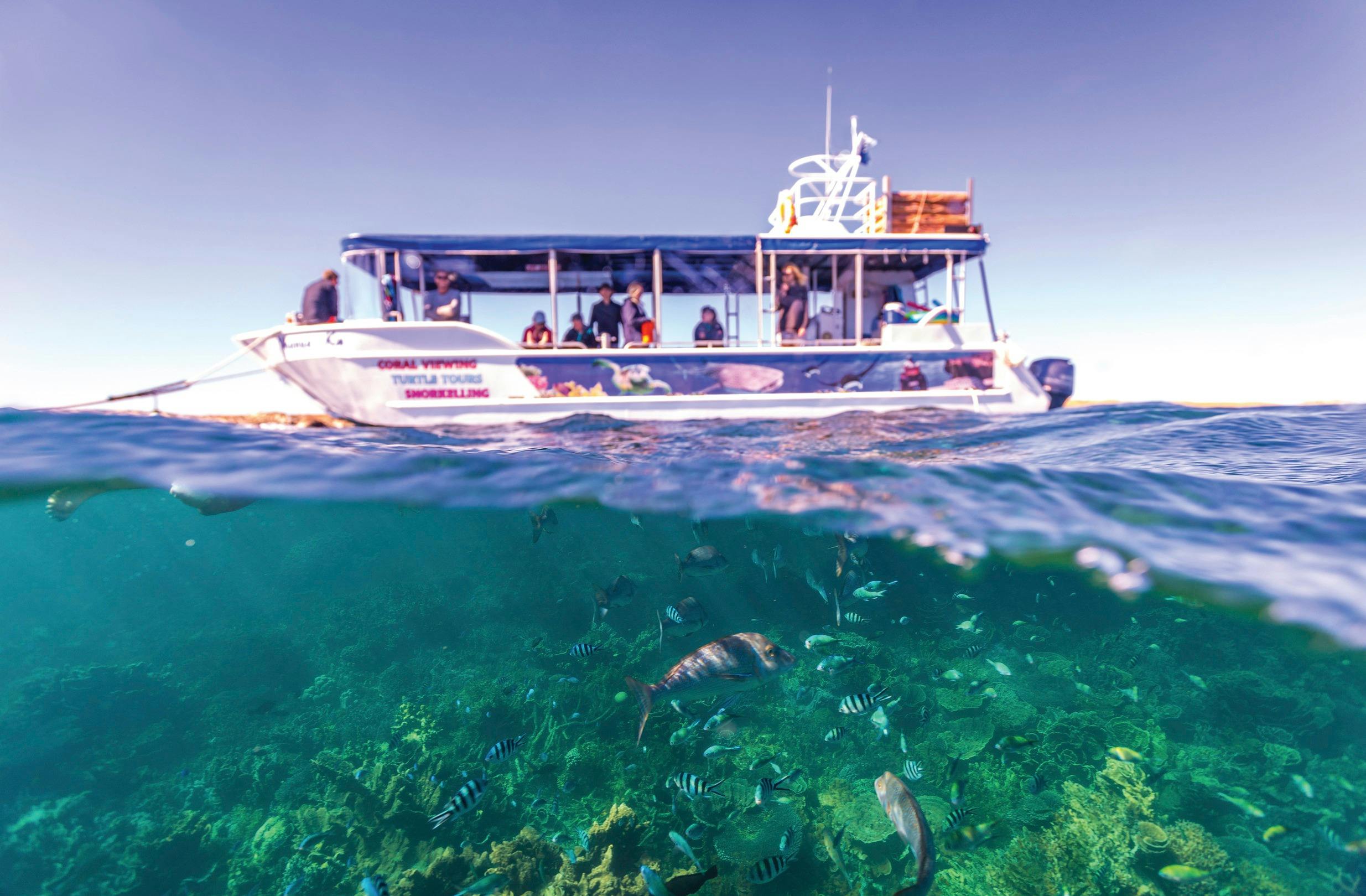 Perth to Broome itinerary, Coral Bay, Western Australia