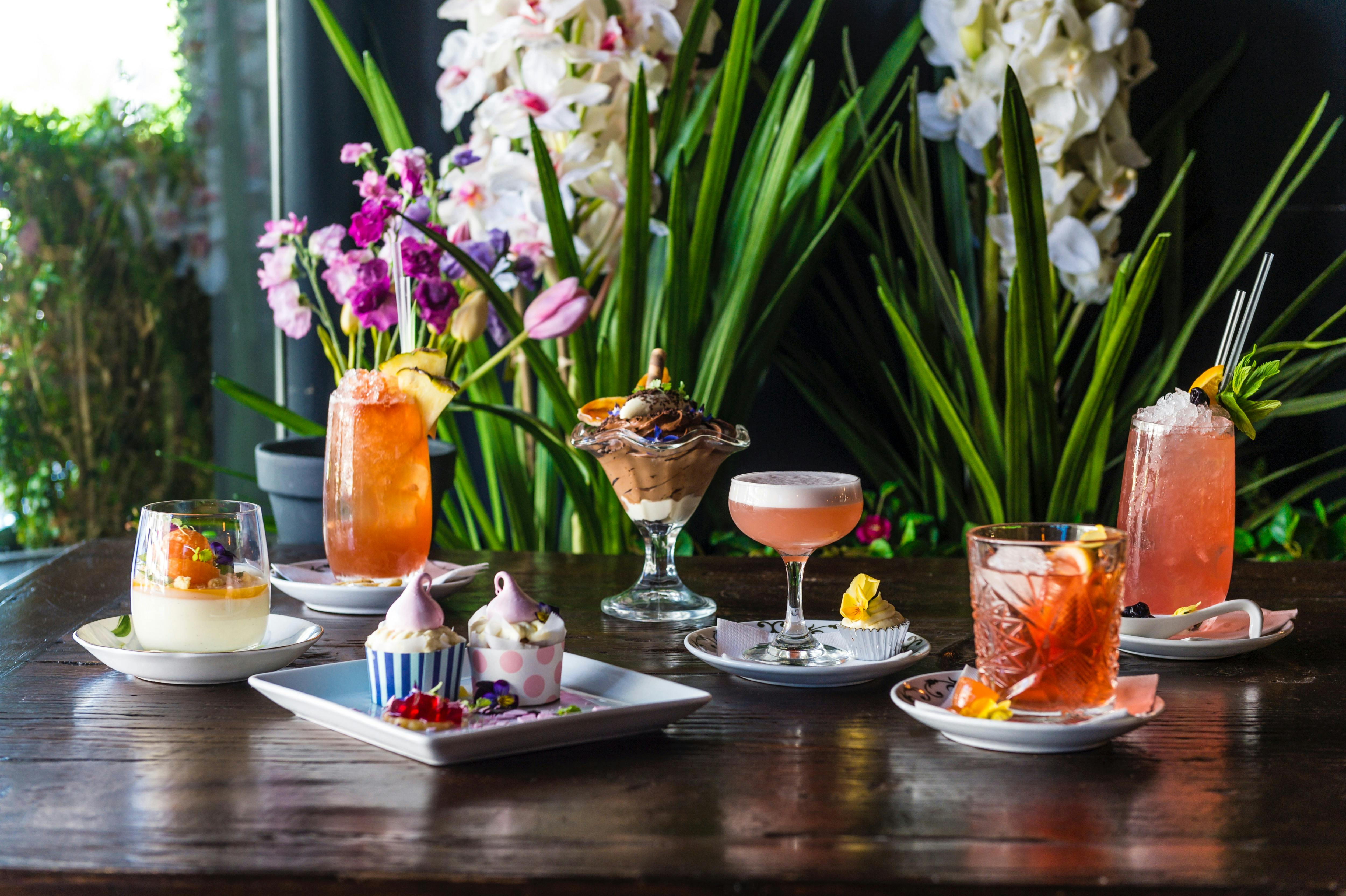 Top Cocktail Picks