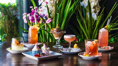 Top Cocktail Picks