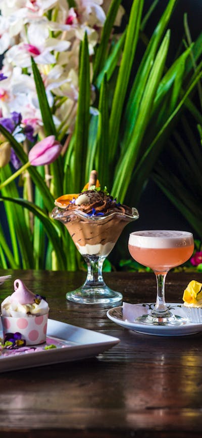 Top Cocktail Picks