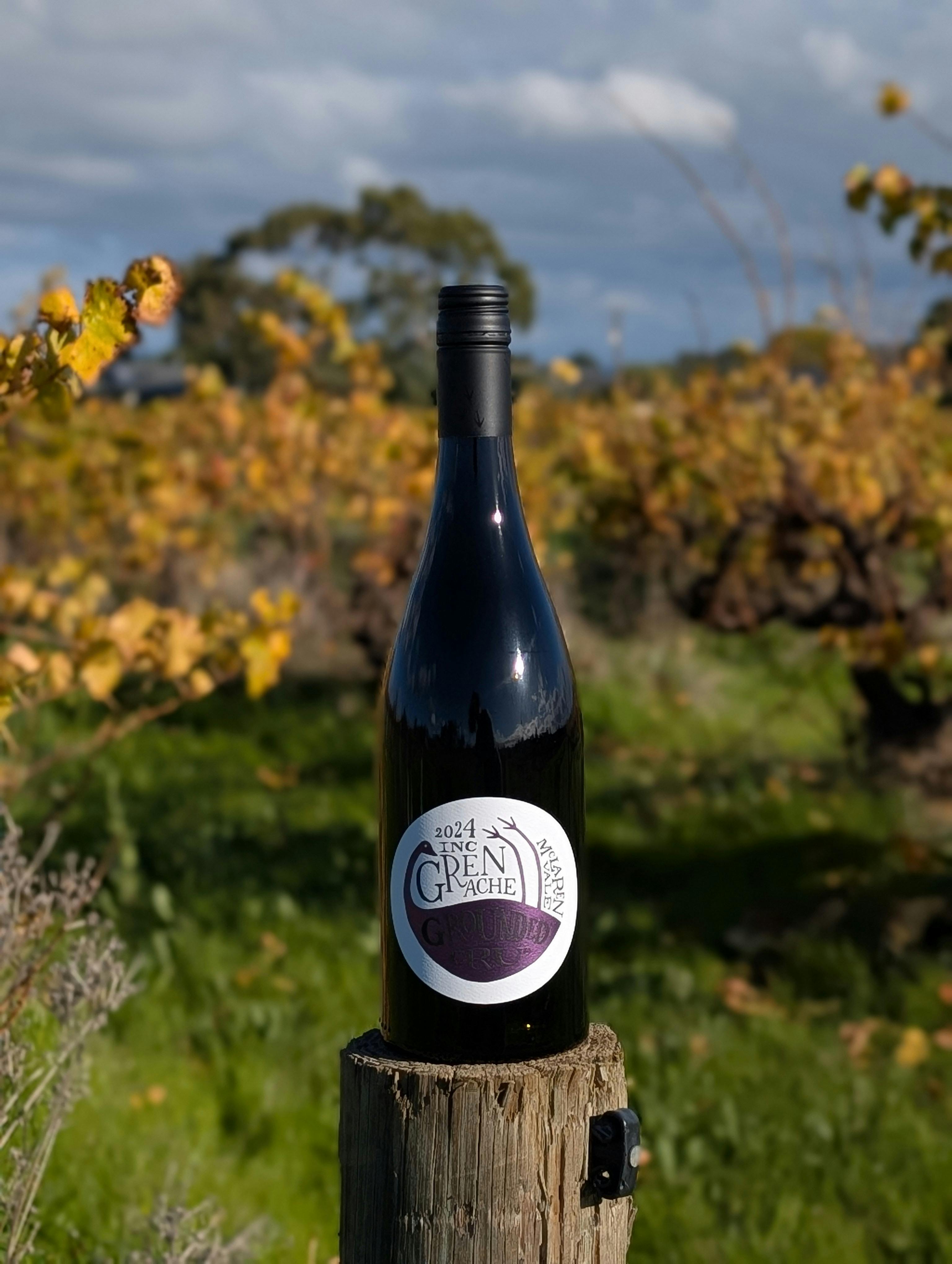Grenache & Gourmet: Old Vines to New Expressions