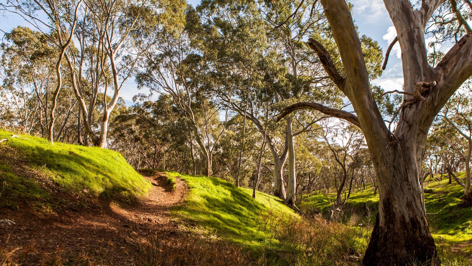 Shepherds Hill Recreation Park