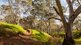 Shepherds Hill Recreation Park