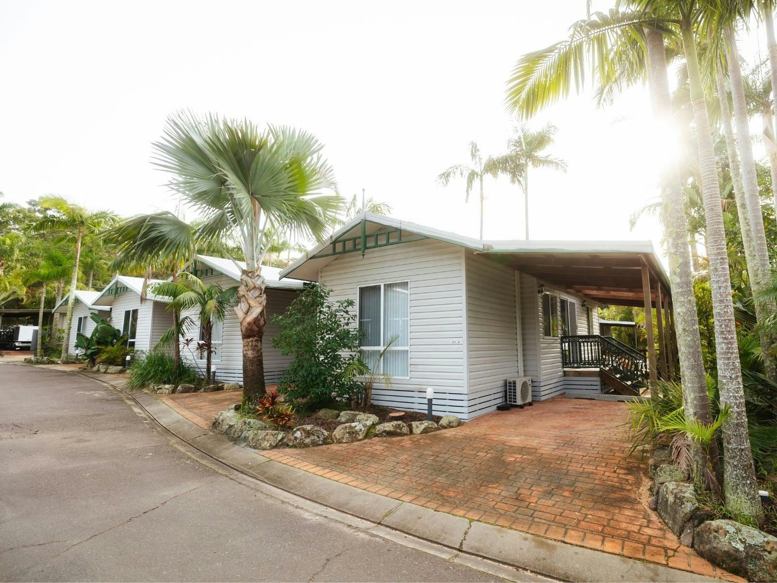 阿斯本假日考拉海岸