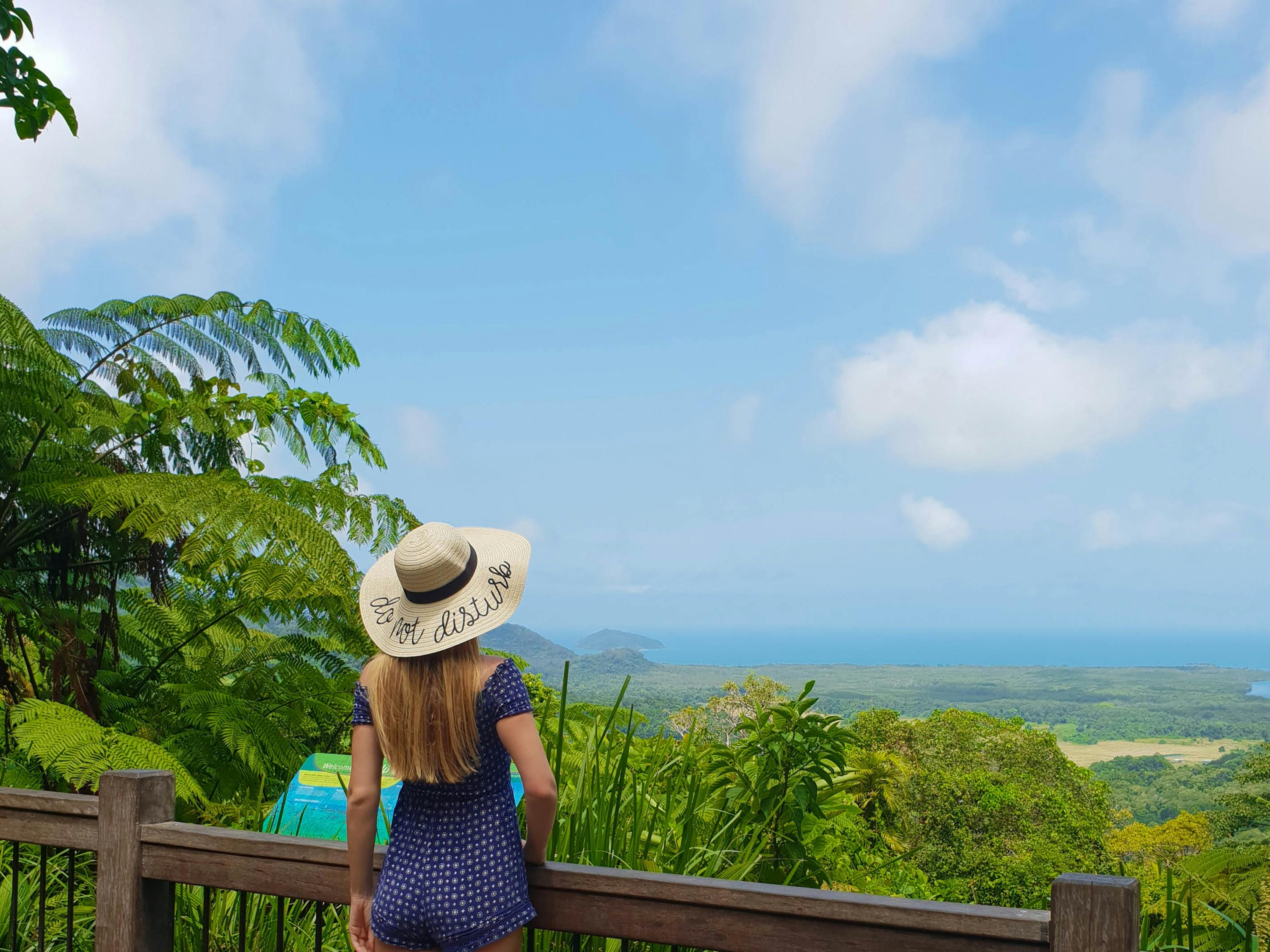 alexandra lookout jungle tours and trekking cape tribulation tour