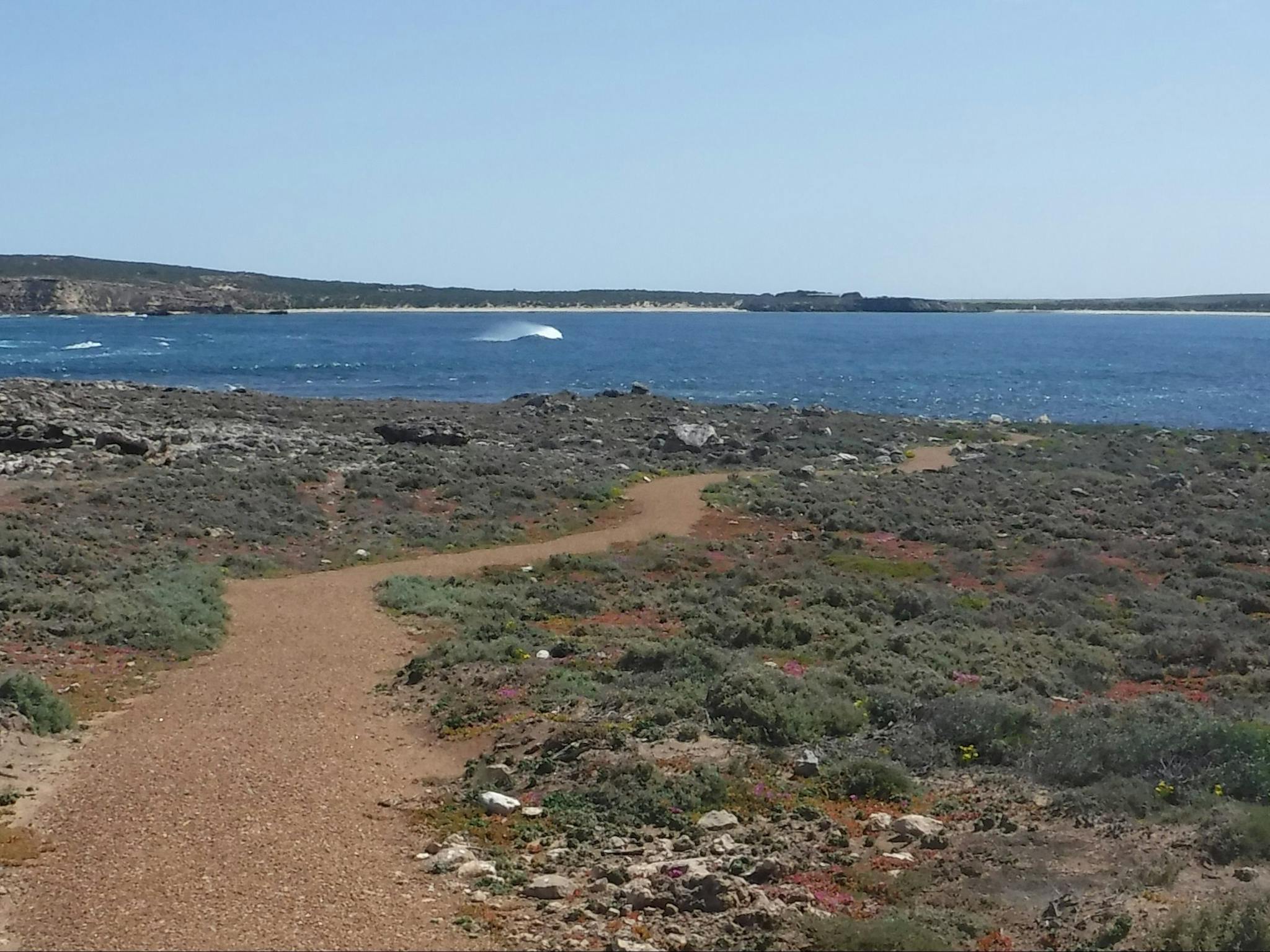Elliston Coastal Trail view of Waterloo Bay
