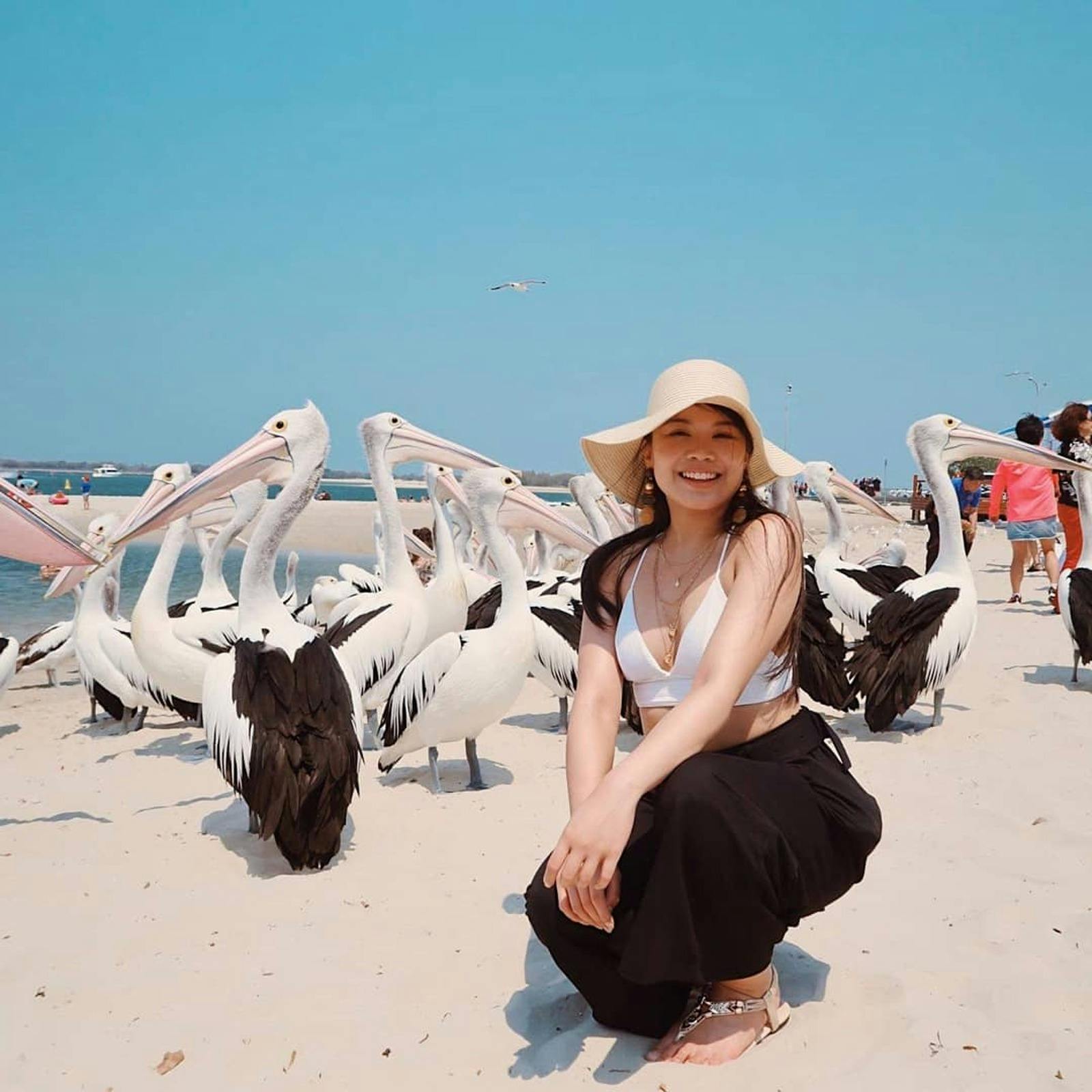 Pelican Feeding Show at Charis Seafood
