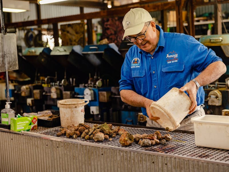 Mount Hay Gemstone Tourist Park - Visit Capricorn Coast - Southern ...