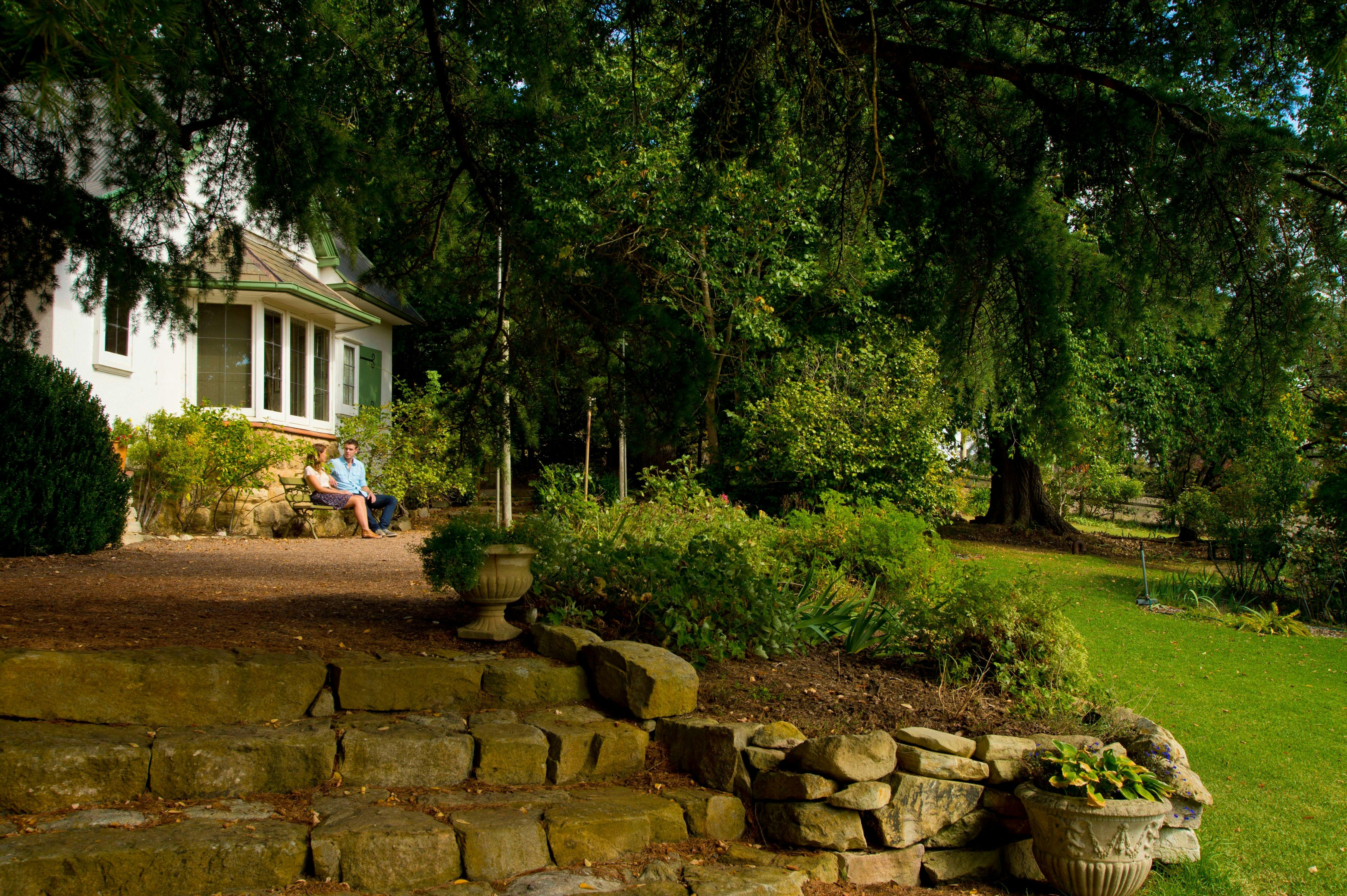 Summer Magic in the Hills