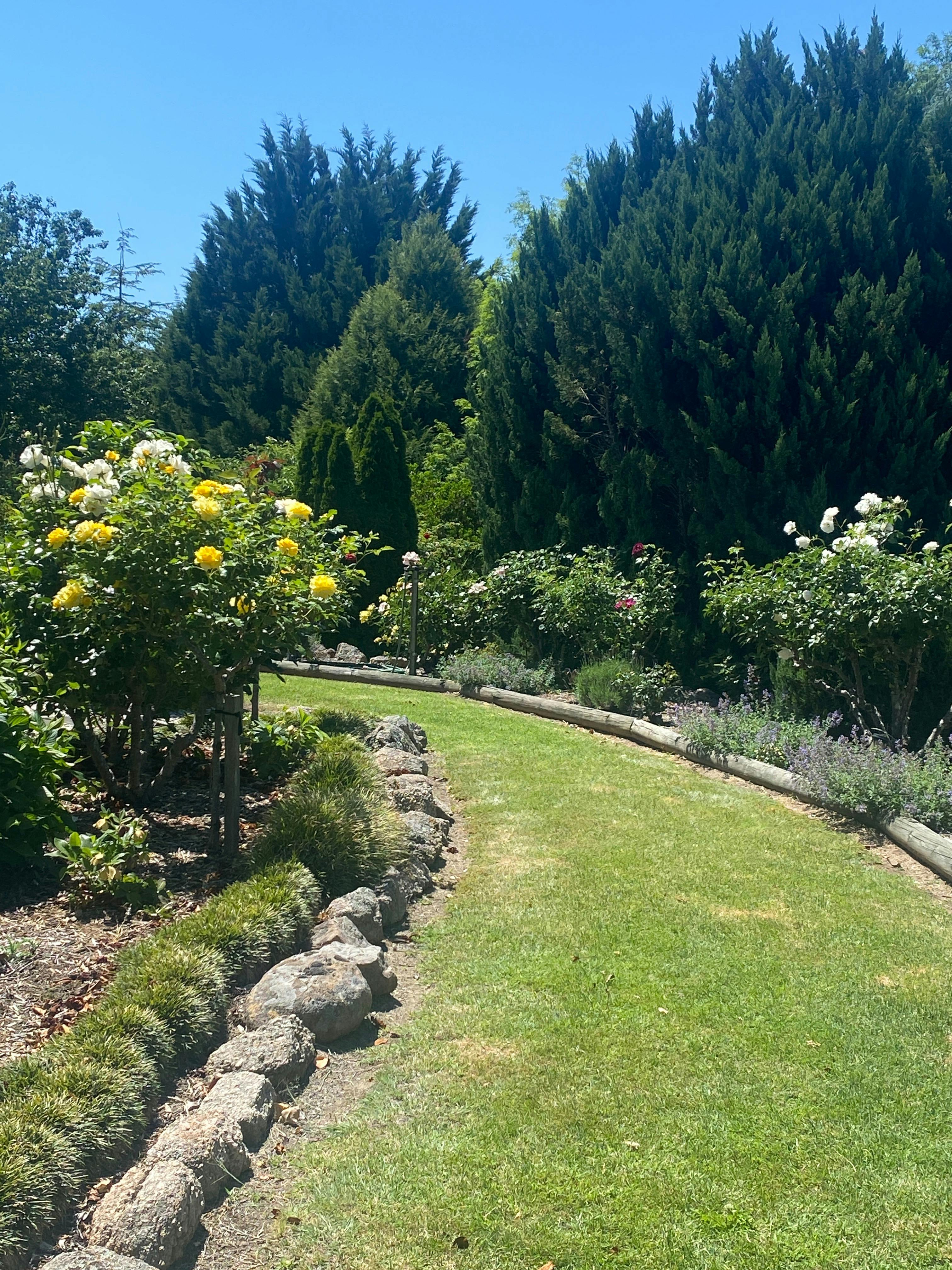 New England Spring Garden Trail - Tenterfield