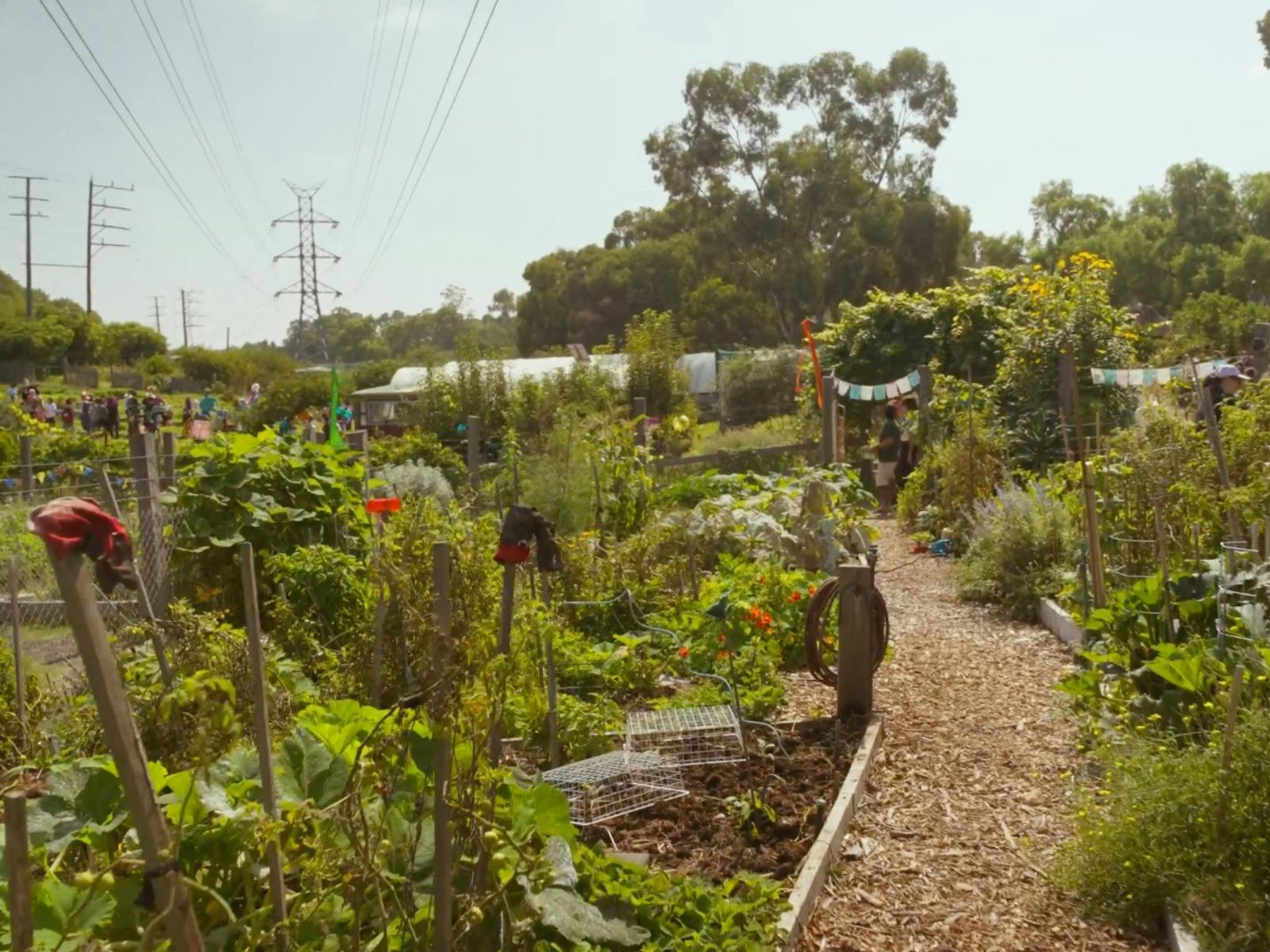 Gardens at CERES