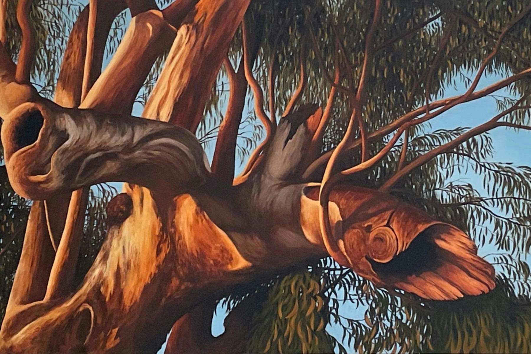 Hollows - Not Nature's Empty Spcaes