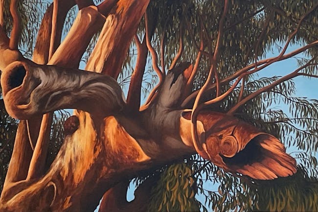 Wagga Wagga Art Glass Gallery