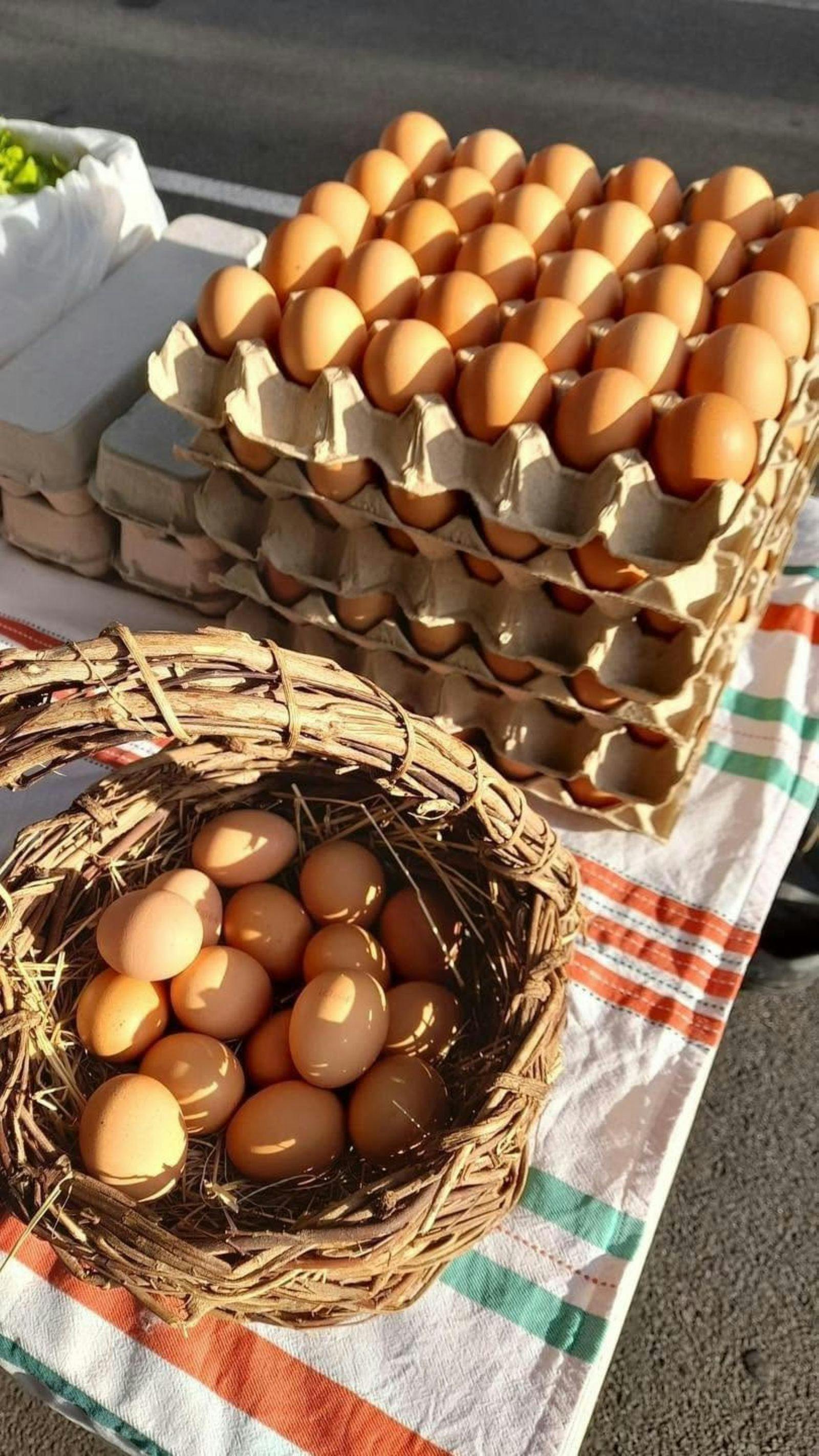 Coal Creek Market EGGS
