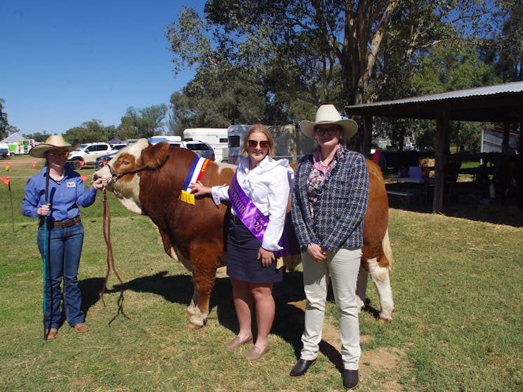 Cattle prizes