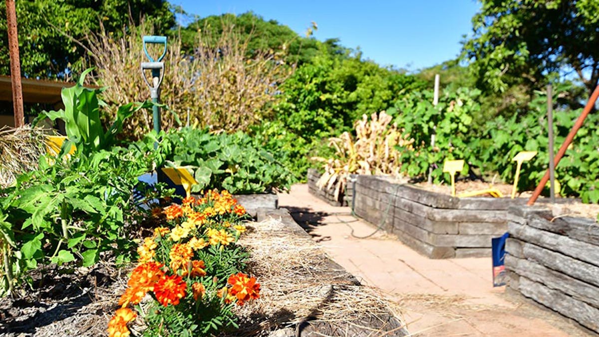 Gardens