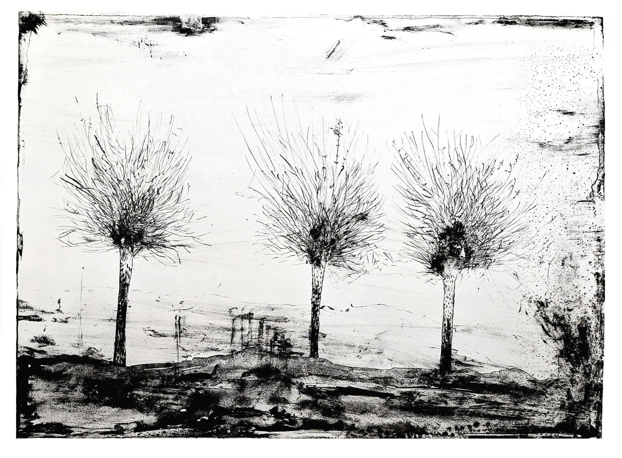 Waking Trees - 2026 - Kaye Green - lithograph