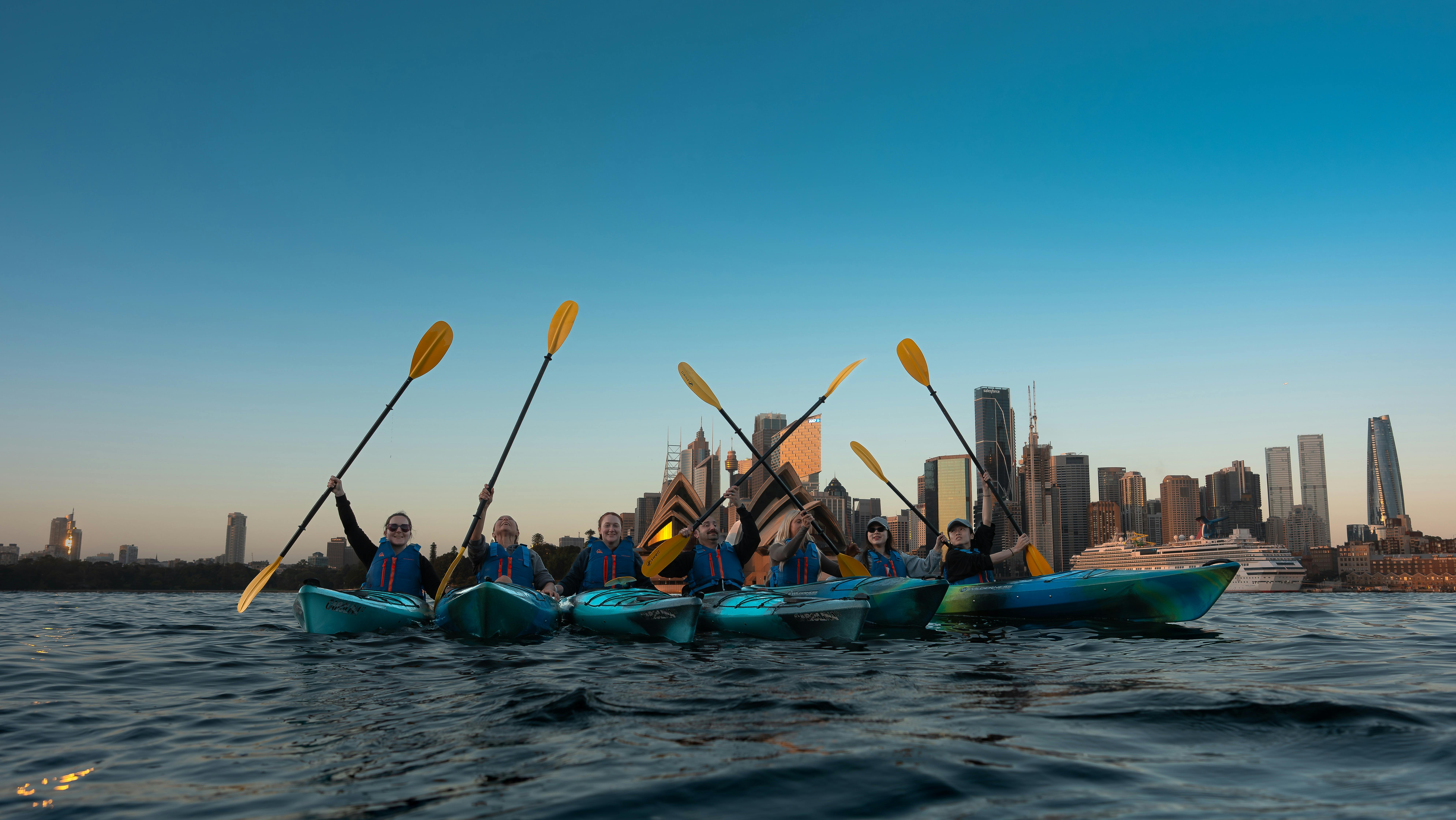 一群皮划艇運動員劃過悉尼港
