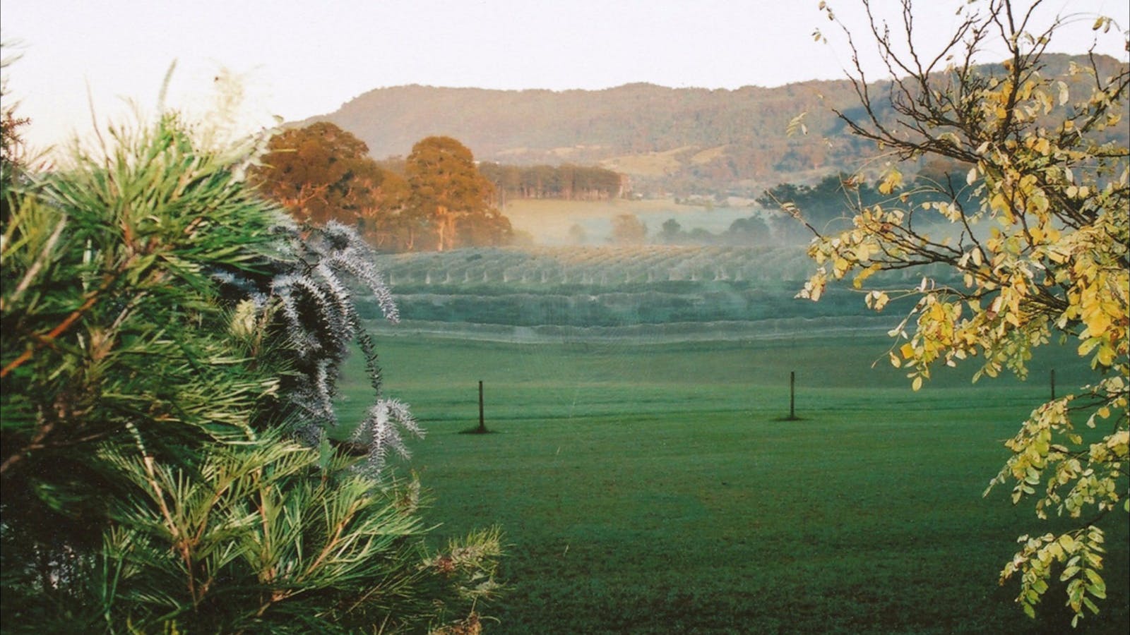 Silos Estate