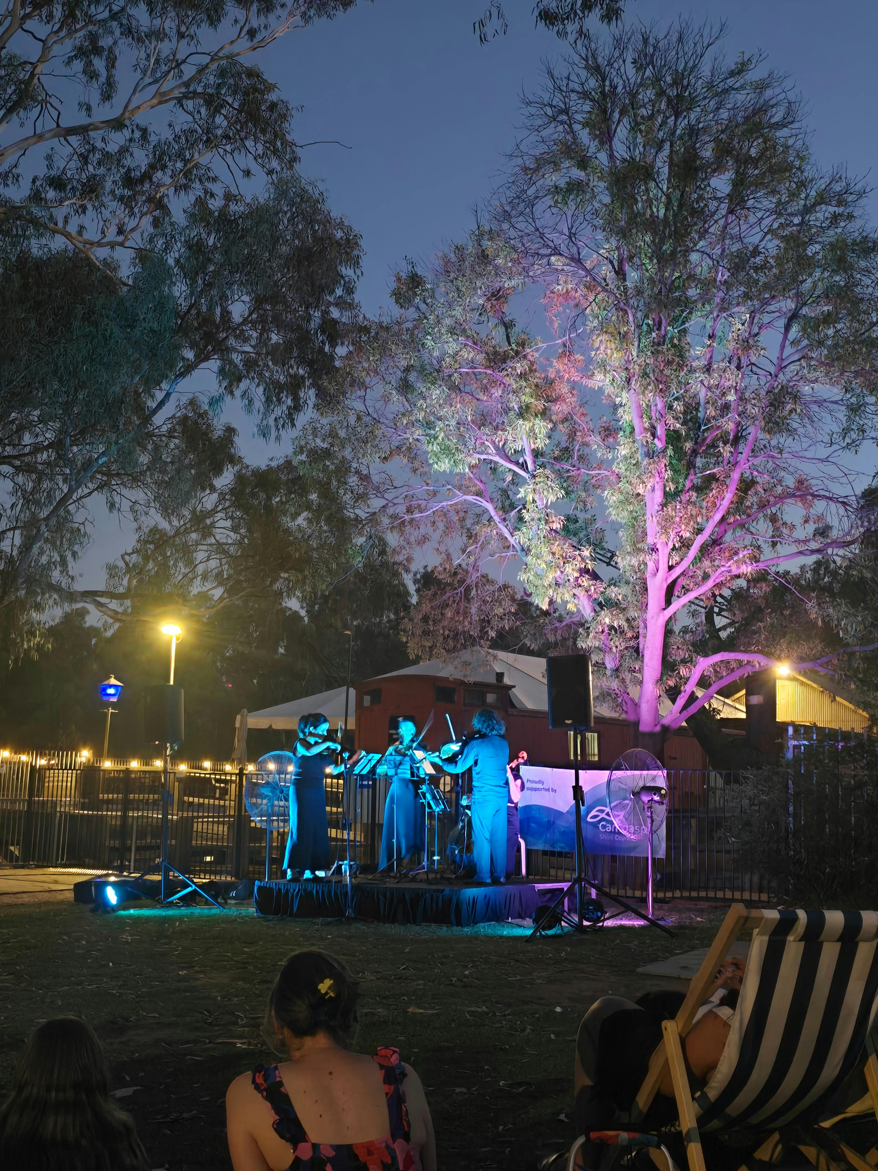 Cedar Collective Under Lights