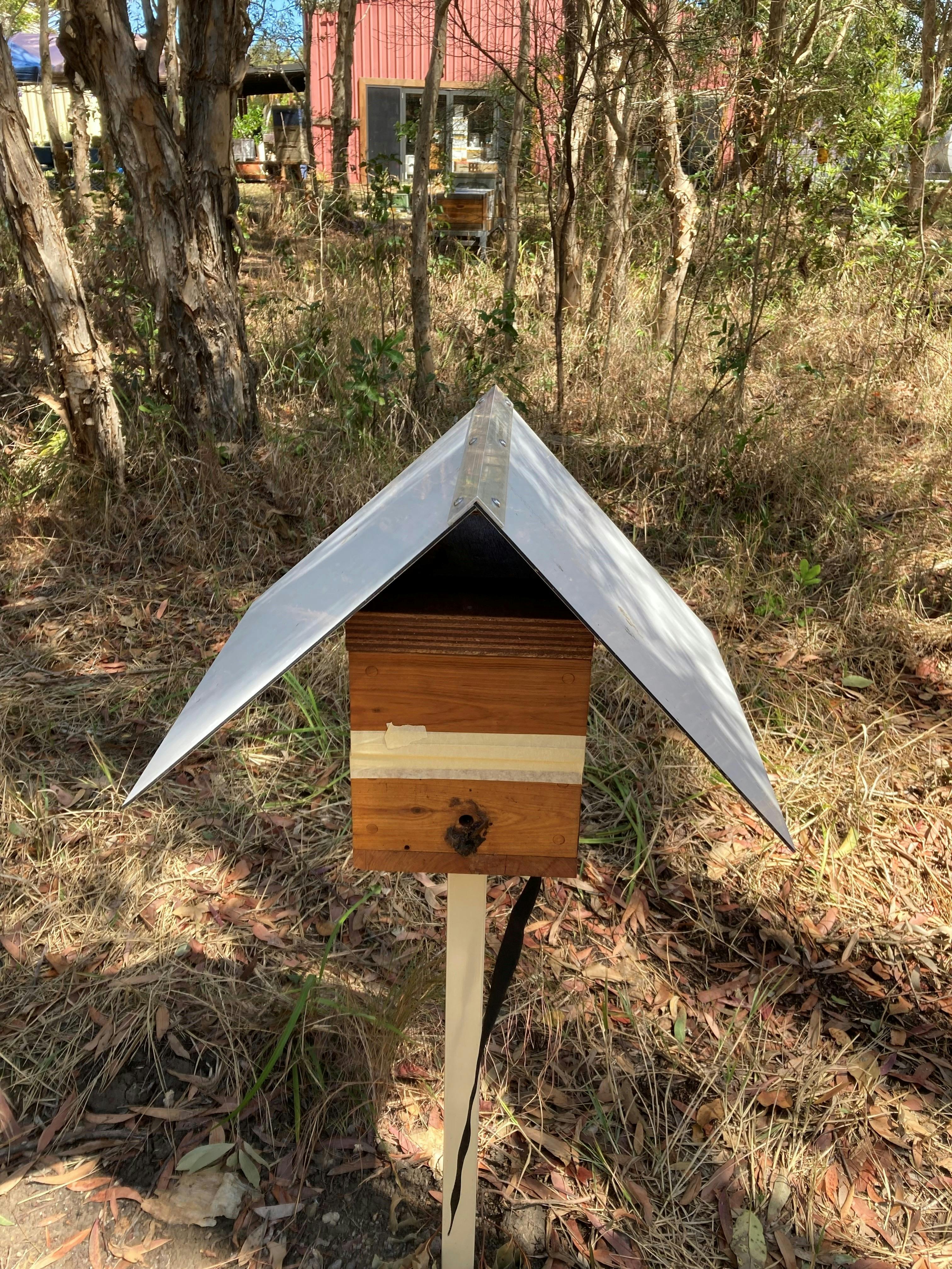 A two-box native bee hive with large pitched roof