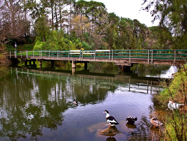 Nepean River