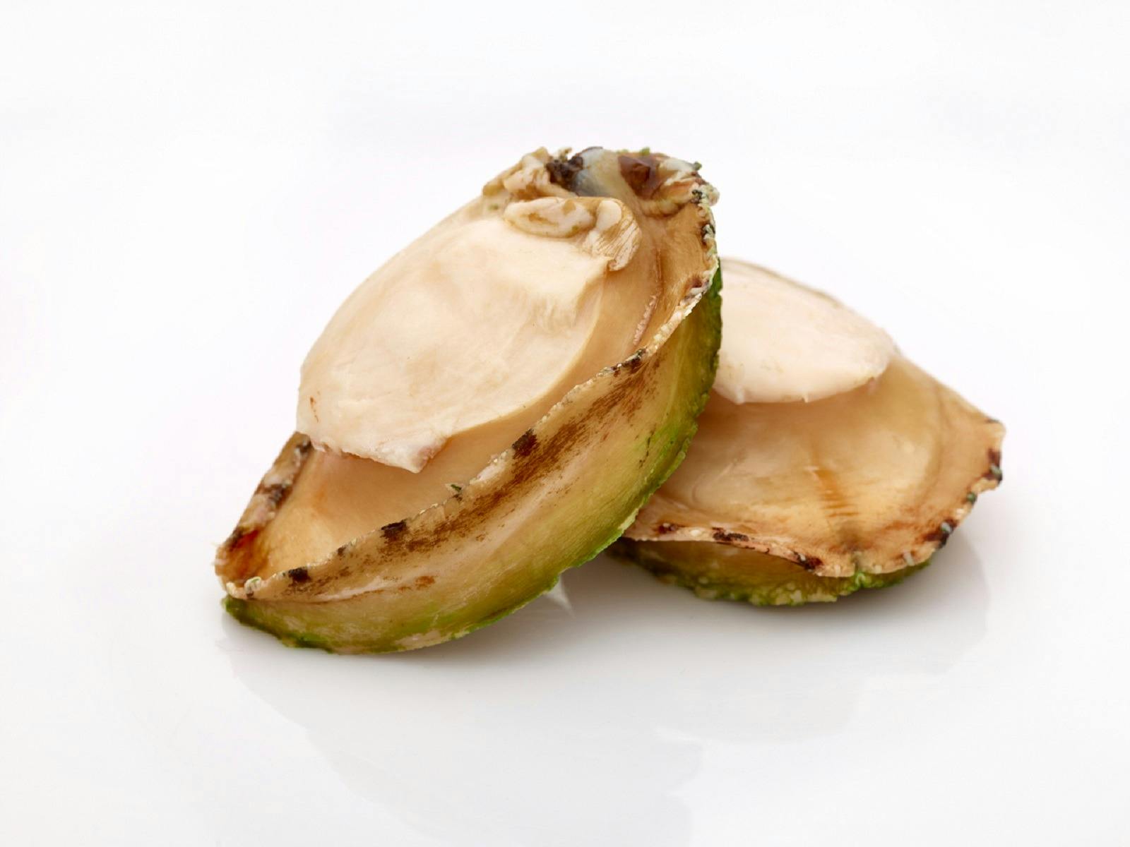 Frozen Wild Caught Greenlip Abalone