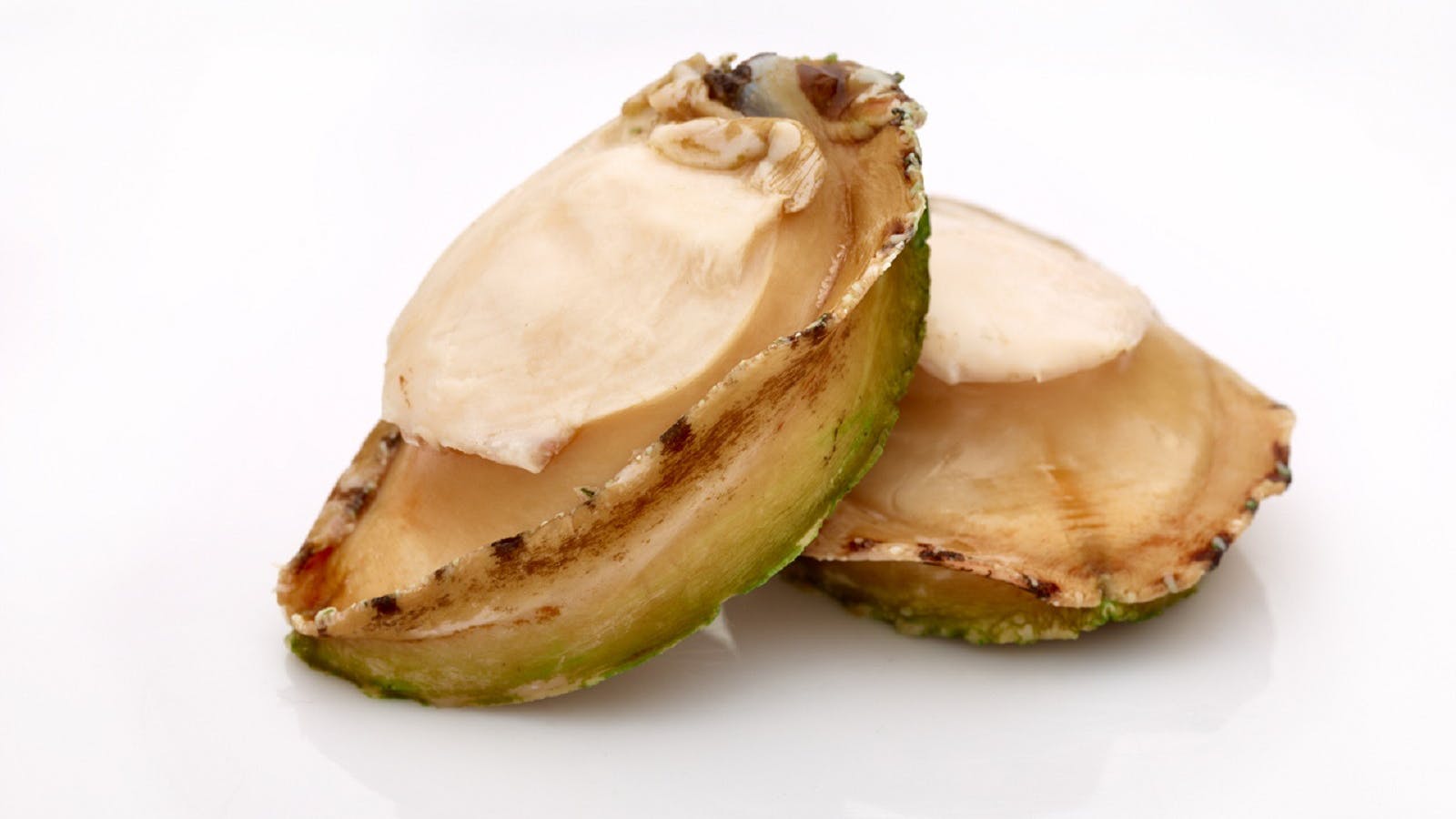 Frozen Wild Caught Greenlip Abalone