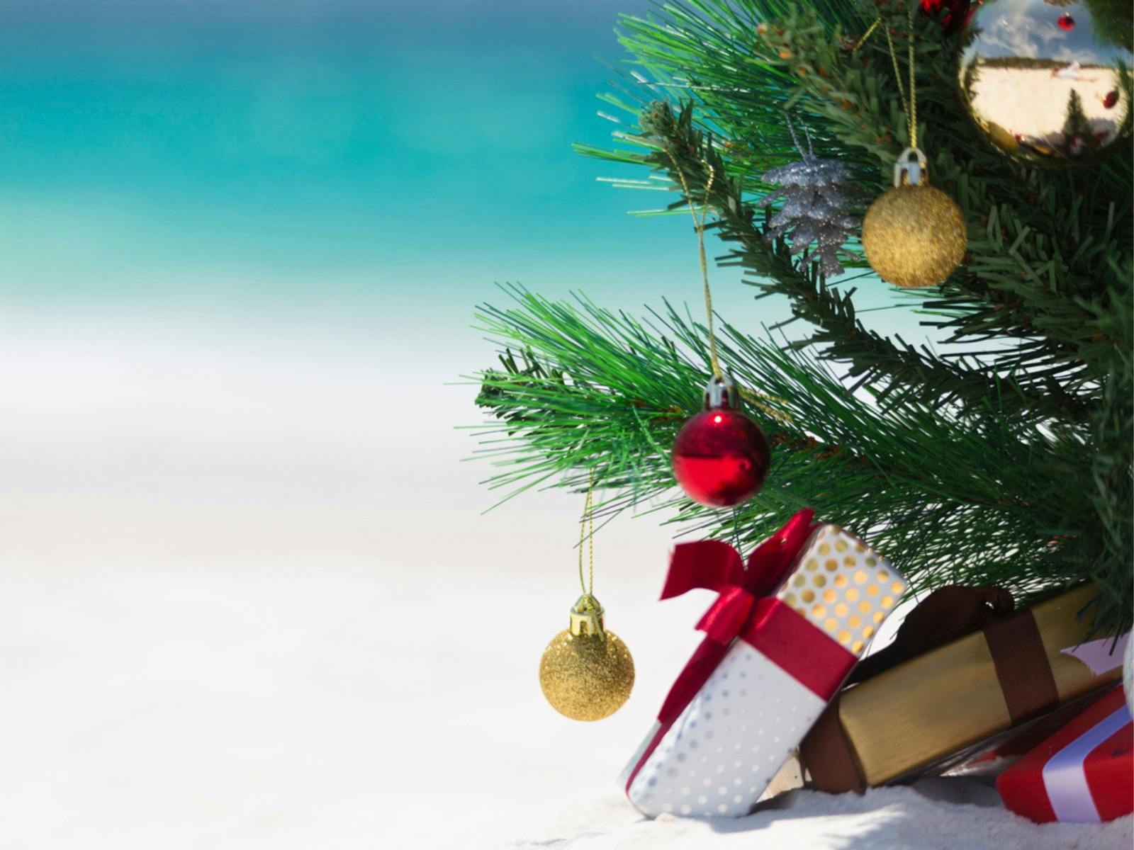 Grand Christmas Lunch: Hindmarsh & Colley Rooms