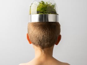 Back of child wearing headpiece