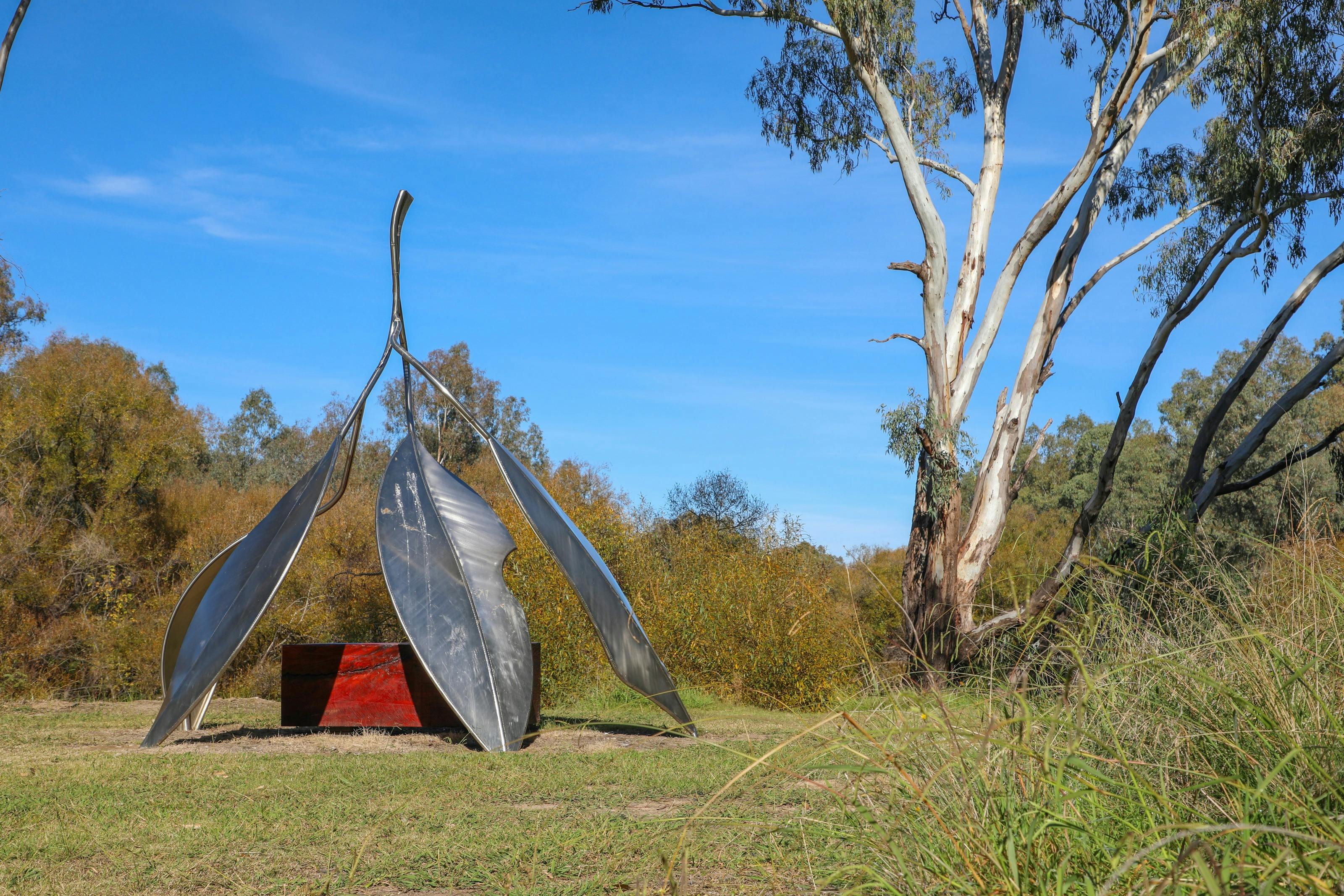 Biyala (Red Gum) by Glennys Briggs and Xavier Pinard