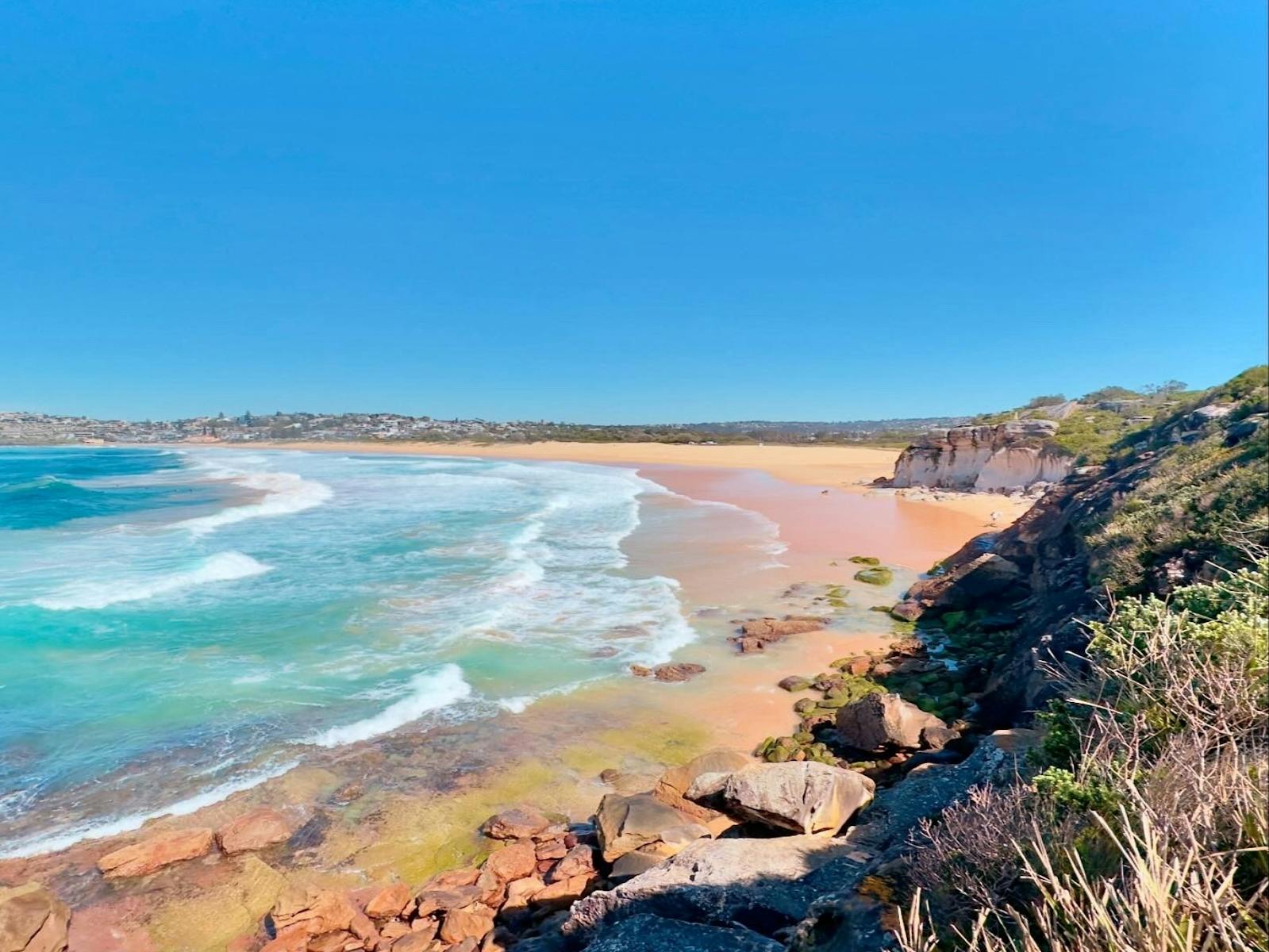 Lookout view over the ocean and beach at North Curl Curl