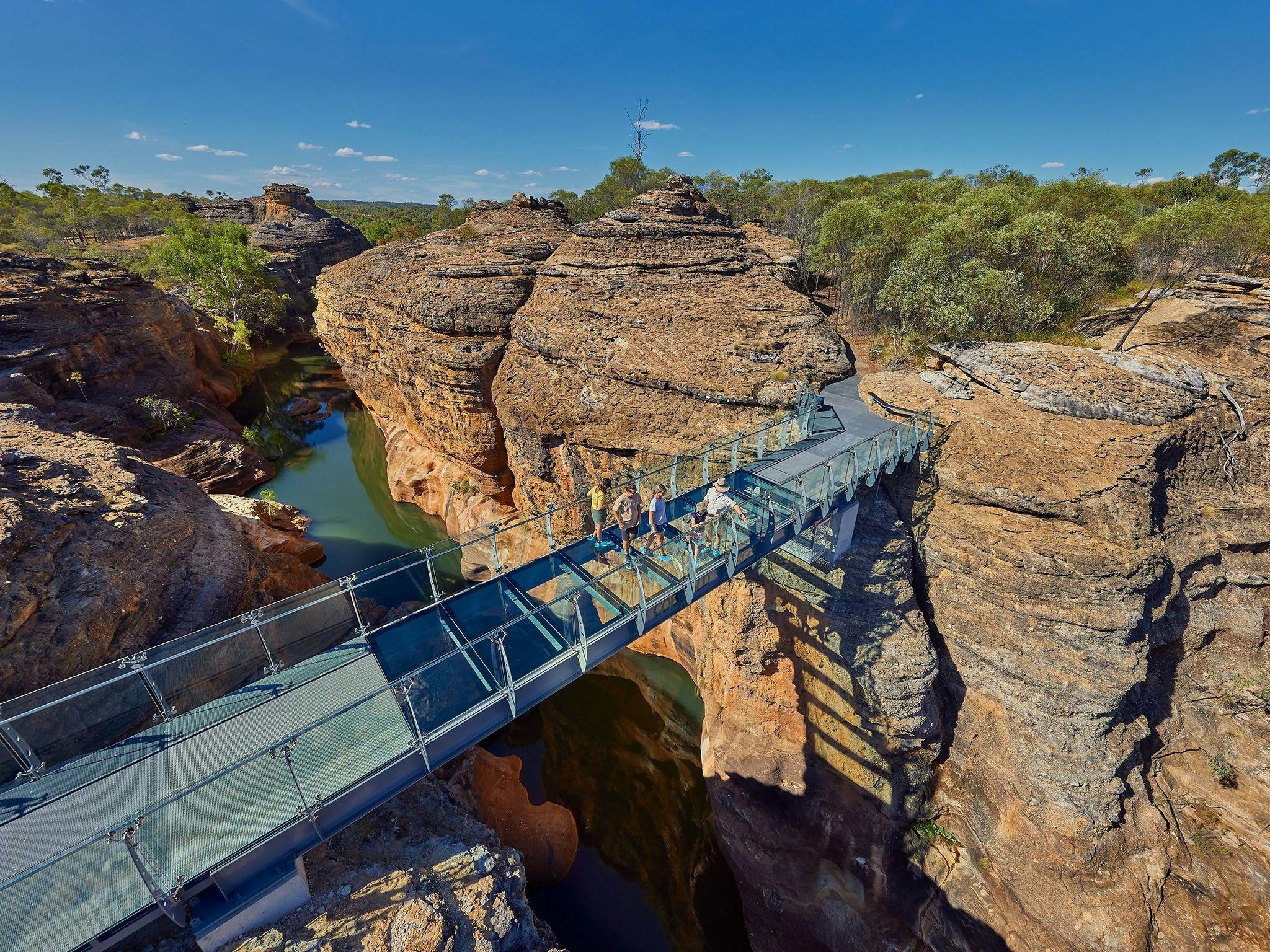 The Savannah SkyWay (14 days)